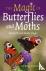 Magic of Butterflies and Mo...