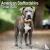 American Staffordshire Terr...