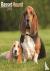 Basset Hound Calendar 2024 ...