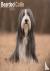 Bearded Collie Calendar 202...