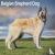 Belgian Shepherd Dog Calend...