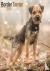 Border Terrier Calendar 202...