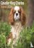 Cavalier King Charles Calen...
