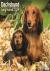 Longhaired Dachshund Calend...