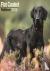 Flatcoated Retriever Calend...