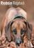 Rhodesian Ridgeback Calenda...