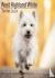 West Highland Terrier Calen...