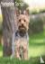 Yorkshire Terrier Calendar ...