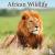 African Wildlife Calendar 2...
