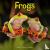 Frogs Calendar 2024 Square ...