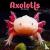 Axolotls Calendar 2024 Squa...
