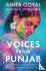Voices from Punjab - The st...