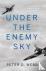 Under the Enemy Sky