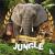 Gunasekara, Mignonne - Jungle
