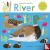  - Animal Families: River