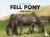 The Spirit of the Fell Pony