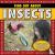 Find Out About Insects - Wi...