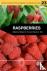  - Raspberries