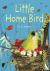 Empson, Jo - Little Home Bird