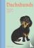 Dachshunds - What Dachshund...