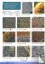 Guide to Common Urban Lichens