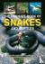 Snakes and Reptiles, Ultima...