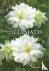 Choosing Your Clematis