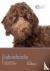 Labradoodle - Dog Expert - ...