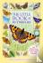 The Little Book of Butterflies