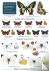 Guide to the butterflies of...