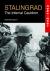 Stalingrad - The Infernal C...