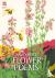 Favourite Flower Poems