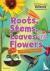 Roots, Stems, Leaves and Fl...