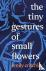The Tiny Gestures of Small ...