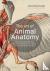 The Art of Animal Anatomy -...