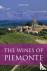 The wines of Piemonte