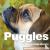  - Puggles - The Essential Guide