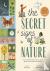 The Secret Signs of Nature ...