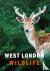 West London Wildlife