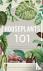 Houseplants 101 - How to ch...