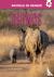 Rhinos - Animals In Danger