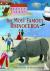 The Most Famous Rhinoceros