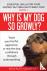 Why is my dog so growly? - ...