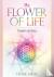 Flower of Life Cards - Wisd...