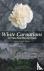 White Carnations - 101 Tale...