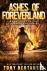 Ashes of Foreverland (Large...