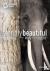 Terrible Beauty - Elephant ...