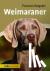 Schmitt, Annette - Weimaraner