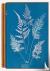Anna Atkins. Cyanotypes