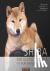 Shiba - Der kleine Japaner ...